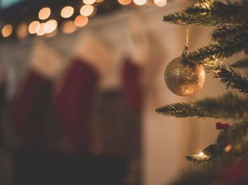 bozicna-december-novica
